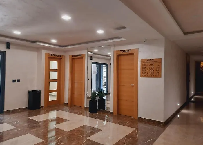 Restart * 즐라티보