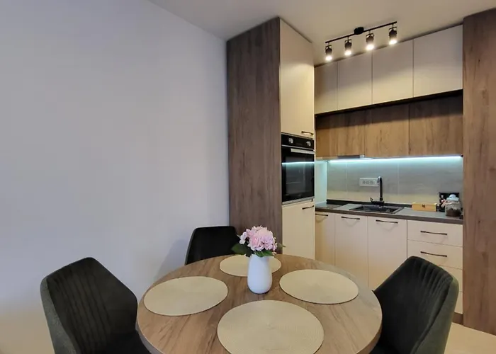 Restart 즐라티보